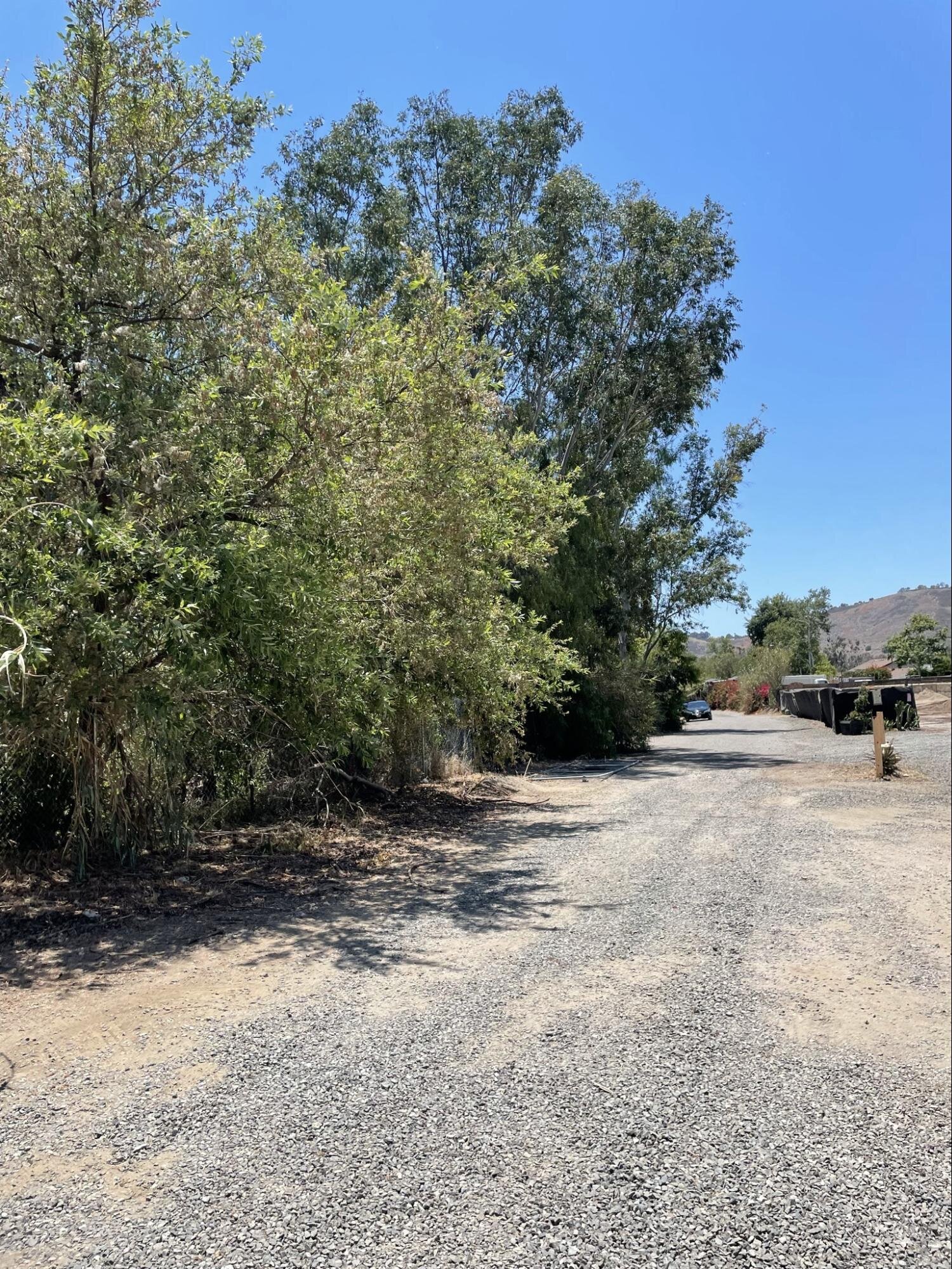 A ground-level view of the project site.