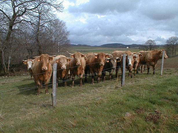 Mooooove your ground control somewhere else, or use the Phantom 4 RTK.